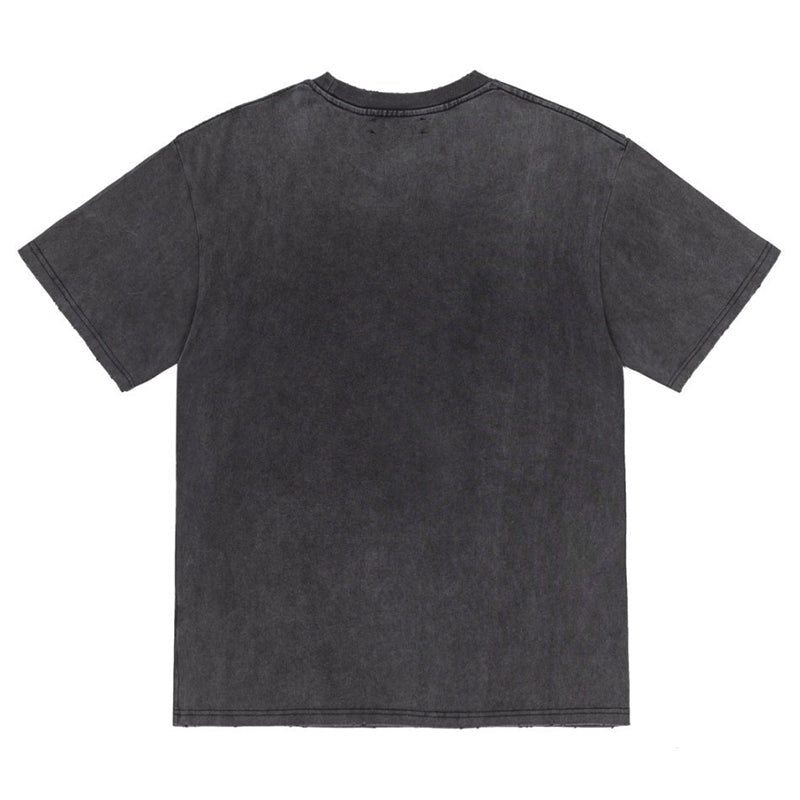 AMlRl High Lion T-Shirt